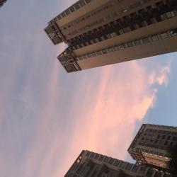 Profile: fallbeauty