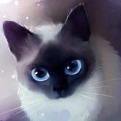 Profile: CharlieMorningstar