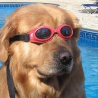 User Profile: tylerhoseph