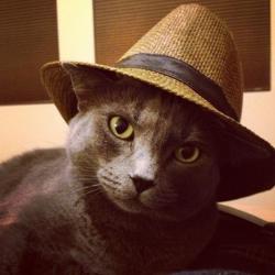 User Profile: LittleDesii