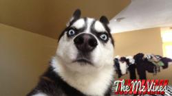 User Profile: ComfortingMango33