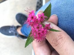 User Profile: Peaceofmyheart
