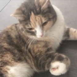 Profile: KindBean2002
