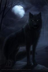 User Profile: AlantheOne2020