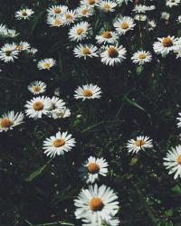 Profile: bouncySpring75