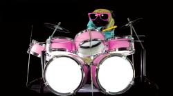 User Profile: DrummingDog