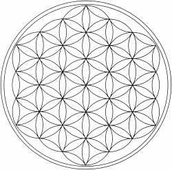 User Profile: WildUnknown