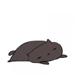 Profile: PieCat