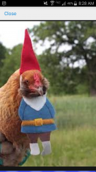 User Profile: FunkyNome