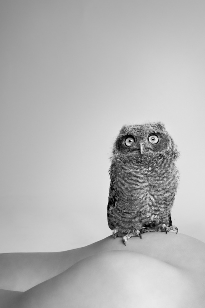 User Profile: TheWaySheSmiles