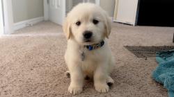 User Profile: imfeelingbettereveryday
