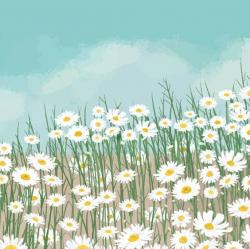 User Profile: DandyDaisy