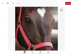 User Profile: fantasticUnicorns80