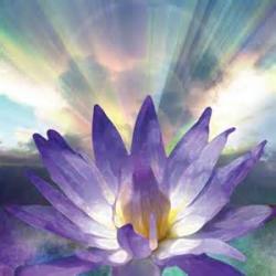 User Profile: SeekingPeaceNow
