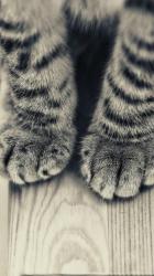 User Profile: Dreamsaremyreality