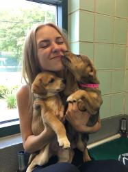 User Profile: samanthaohay