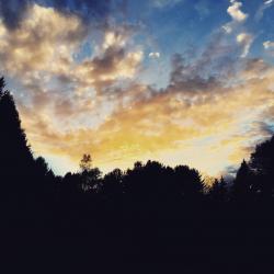 User Profile: patientLove52