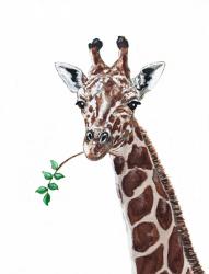 User Profile: owengiraffe