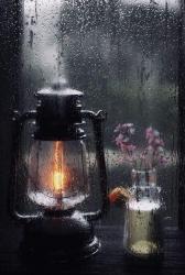 User Profile: Petrichor00