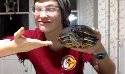 Profile: beautifulturtle