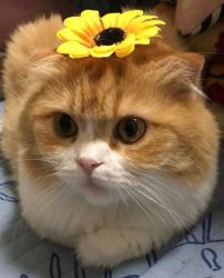 User Profile: gracefulWillow24
