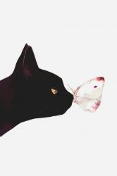 Profile: Celty