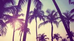 User Profile: FriendlyNature256