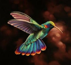 User Profile: Hummingbird97