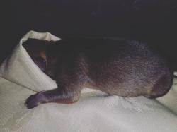 User Profile: crang17