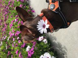 User Profile: Jackie