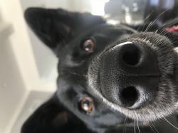 User Profile: MoHereToHugYou