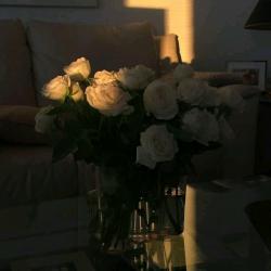User Profile: Epiphany33
