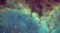 User Profile: FadingStarDust