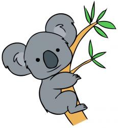 User Profile: beautifulKoala49