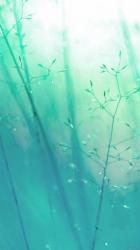 User Profile: Sireena1