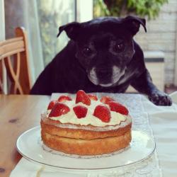 User Profile: HeartfulSunshine