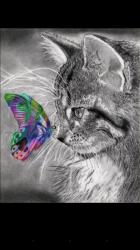 Profile: EmpatheticFANDRAGON