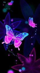 Profile: dancingPeace02
