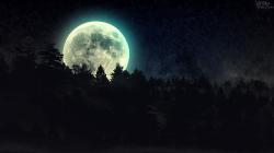 User Profile: Beautifulmoonlight94