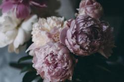 User Profile: pinkespresso