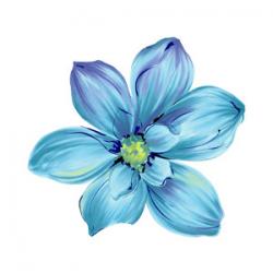 User Profile: ppaintingroses