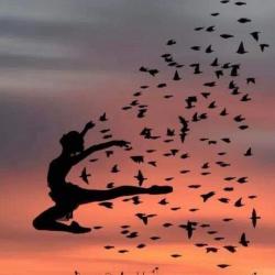 User Profile: SpringsofHope