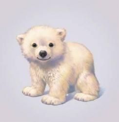 Profile: Fluffyteddygraham