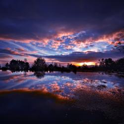 User Profile: wonderfulSunset68