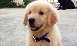 User Profile: Bubbyduckie