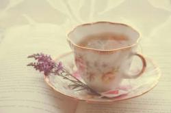 User Profile: WarmTeaCup