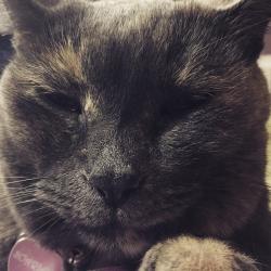 Profile: CrunchyLeaves31
