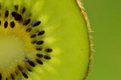 User Profile: crispKiwi
