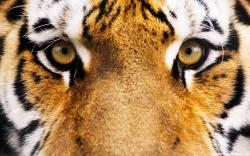 Profile: lmpala67