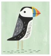 Profile: Puffin